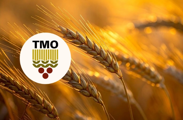TMO 2026 Hububat Fiyatlarını Açıkladı